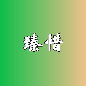 臻惜