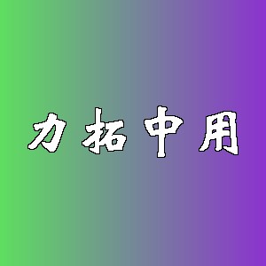 力拓中用