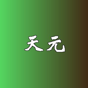 天元