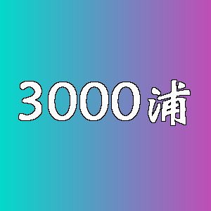 3000浦
