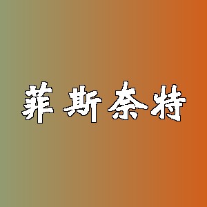 菲斯奈特品牌Logo