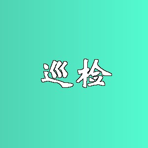 巡检