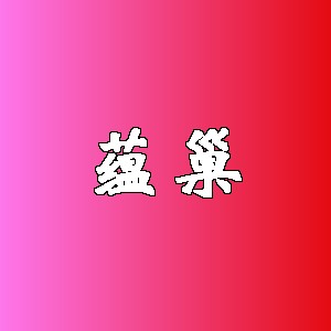 蕴巢