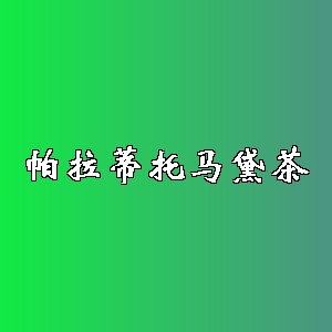 帕拉蒂托马黛茶