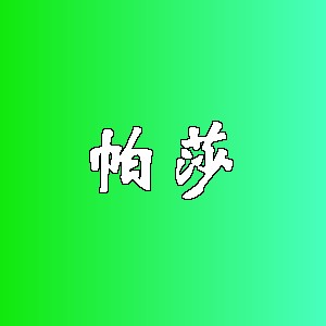 帕莎品牌Logo