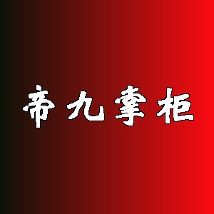 帝九掌柜品牌Logo