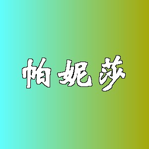 帕妮莎品牌Logo