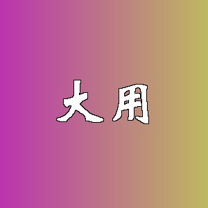 大用品牌Logo