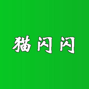 猫闪闪品牌Logo