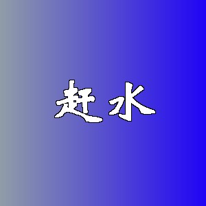 赶水品牌Logo