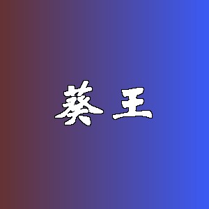 葵王品牌logo