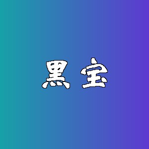 黑宝品牌Logo