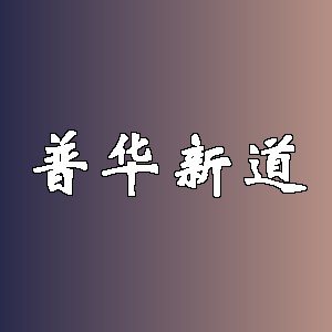 普华新道品牌Logo