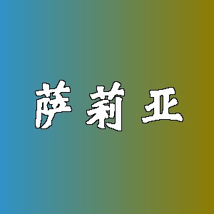 萨莉亚品牌logo