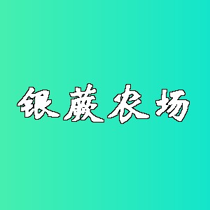 银蕨农场品牌logo