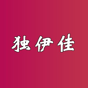 独伊佳品牌logo