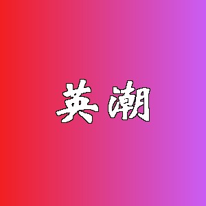 英潮品牌logo