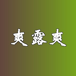 爽露爽品牌logo