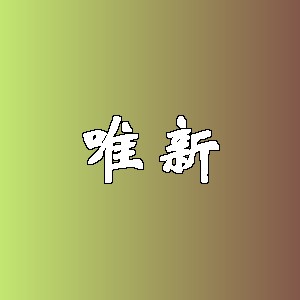 唯新品牌logo