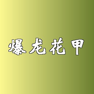 爆龙花甲品牌logo