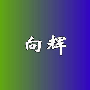 向辉品牌logo