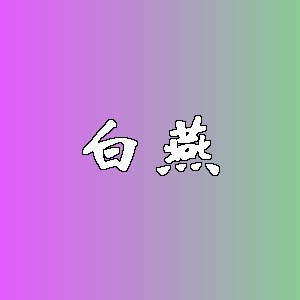 白燕品牌logo