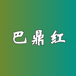 巴鼎红品牌logo