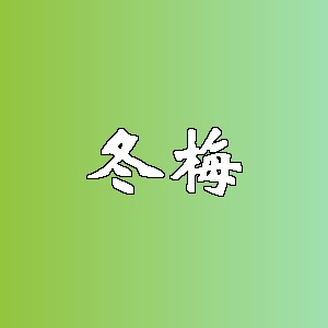 冬梅品牌logo