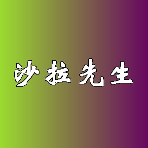 沙拉先生品牌logo
