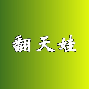 翻天娃品牌logo