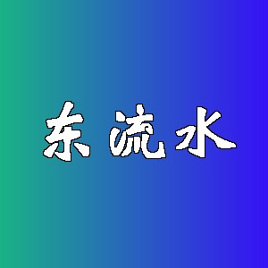 东流水品牌logo