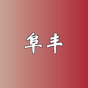 阜丰品牌logo
