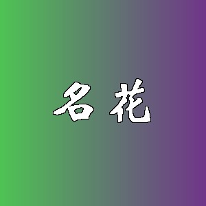 名花品牌logo
