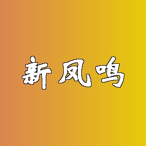 新凤鸣品牌logo