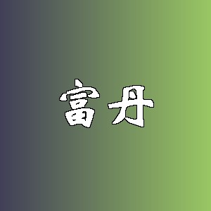 富丹品牌logo