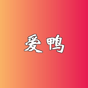 爱鸭品牌logo