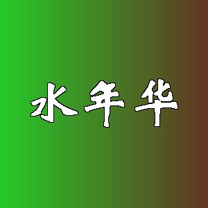 水年华品牌logo