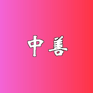 中善品牌logo