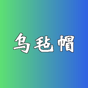 乌毡帽品牌logo