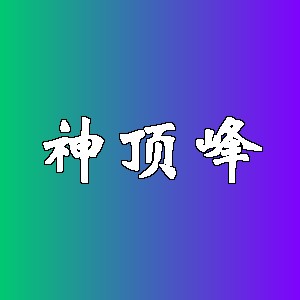 神顶峰品牌logo