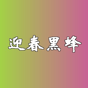 迎春黑蜂品牌logo