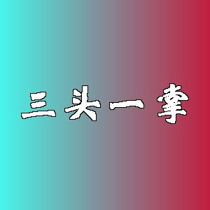 三头一掌品牌logo