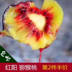 红心猕猴桃1050g