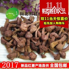 东北特产红蘑500g