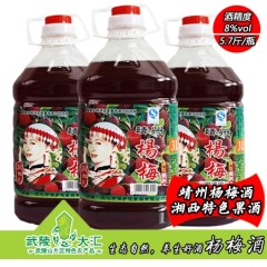 靖州特产杨梅酒3000ml