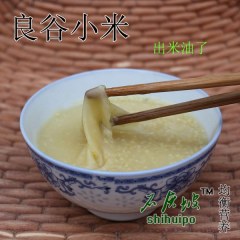 甘肃会宁小黄米500g