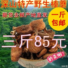 东北特产野生榛蘑菇500g