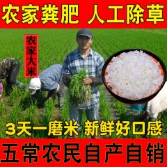 正宗五常大米稻花香5000g