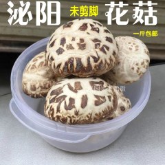 泌阳花菇干货 特产500G 