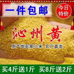 山西特产沁州黄小米500g
